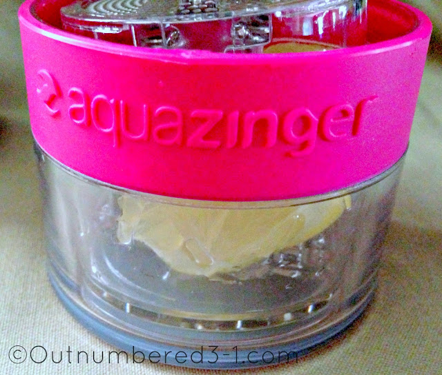 Aqua Zinger by Zing Anything Review Outnumbered 3 to 1