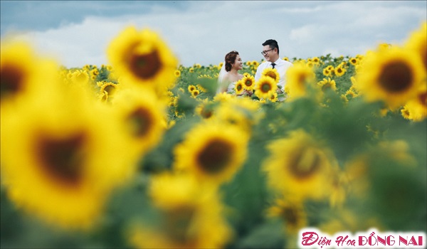 [Image: Chum-anh-cuoi-lang-mang-giua-mua-hoa-Da-Lat-9.jpg]