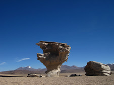 Stone tree in Uyuni Desert, Bolivia