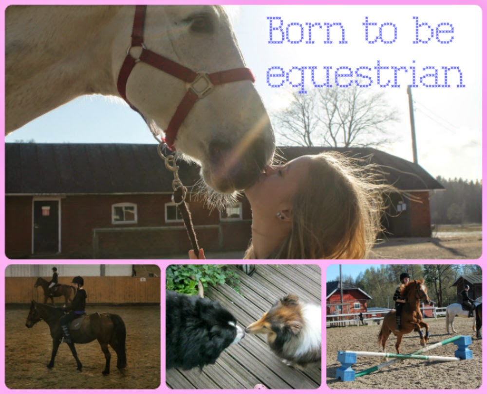 Born to be equestrian