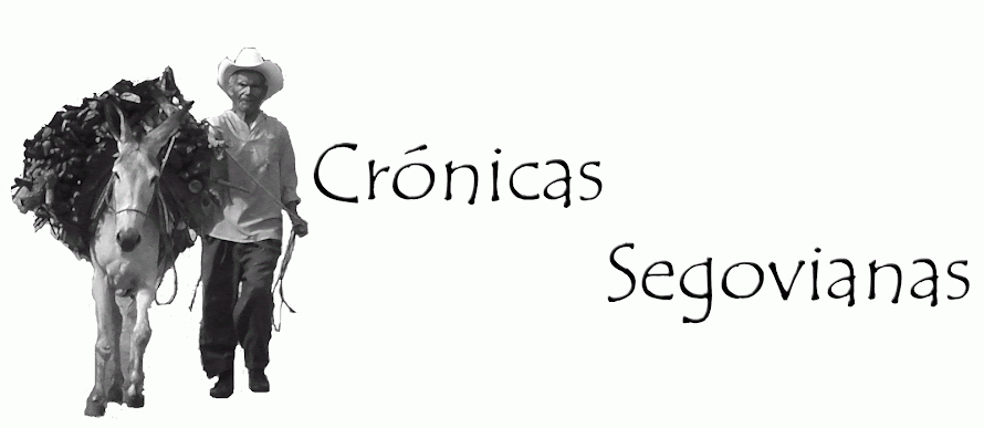 "Crónicas Segovianas"