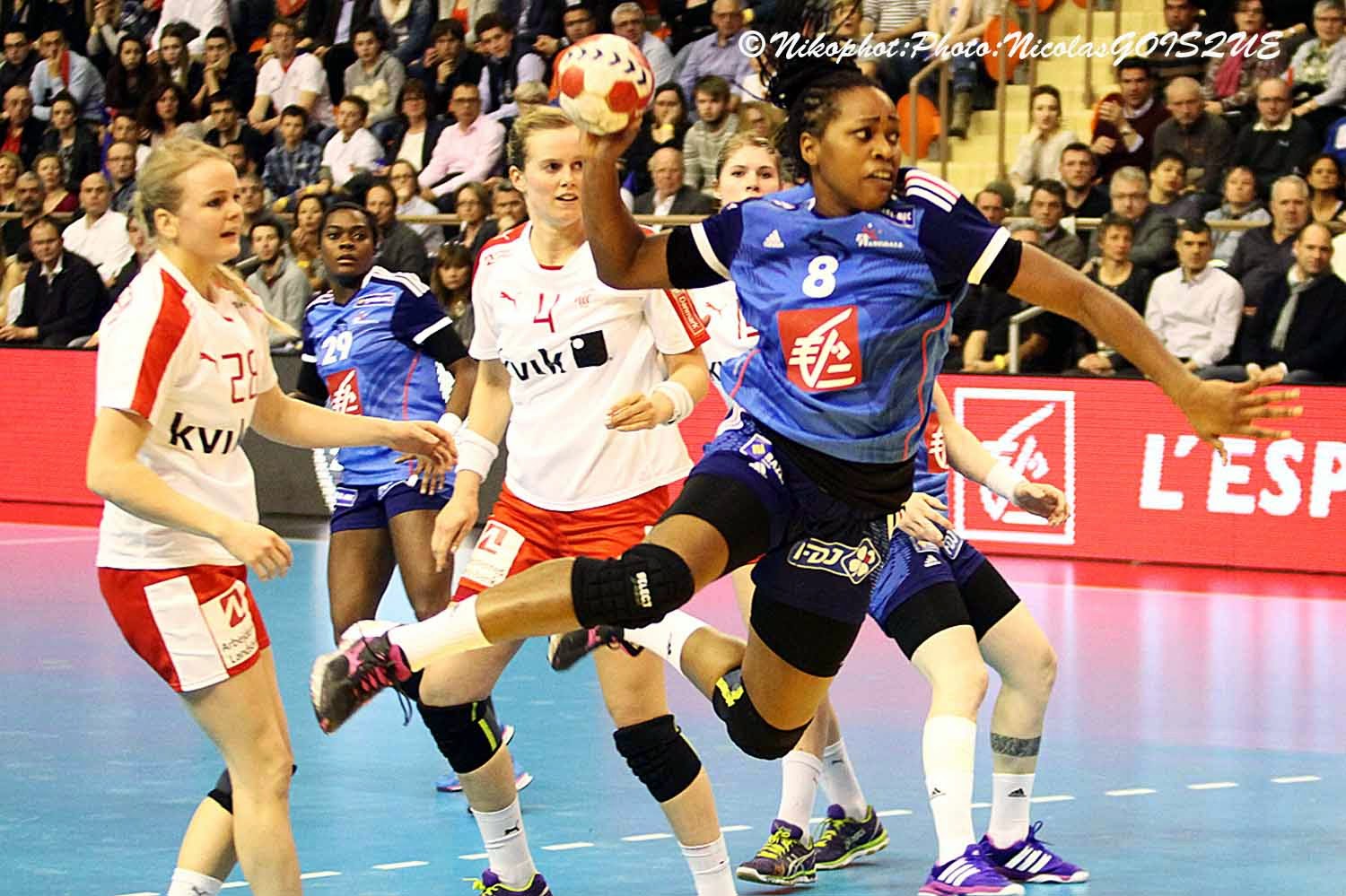 NikoPhot Golden League Handball de Gala à Dijon