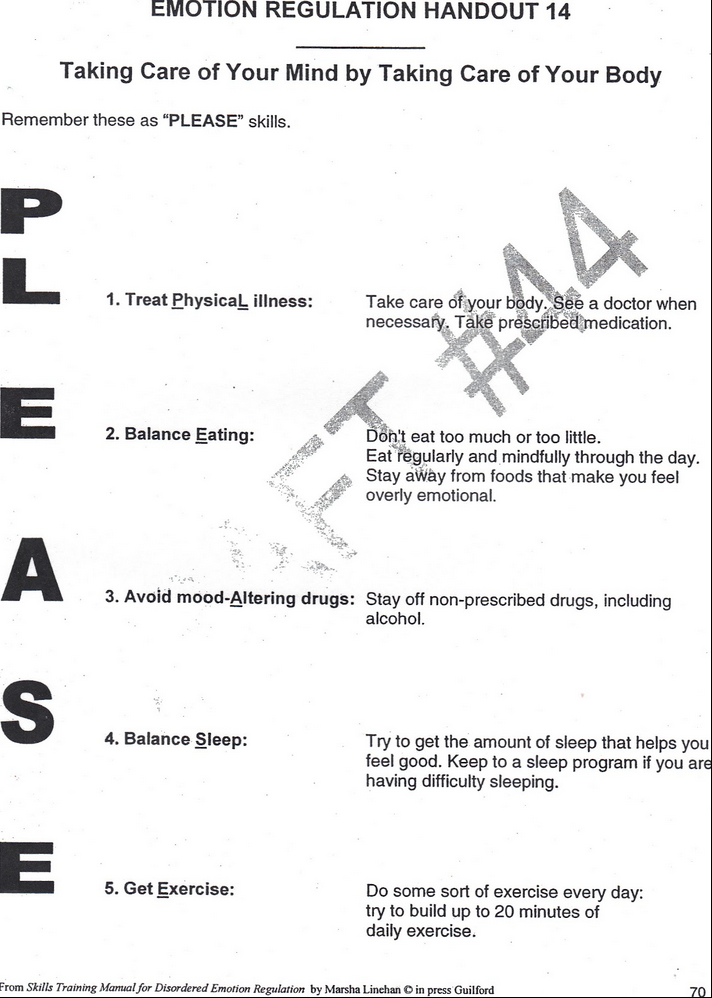 Printables Wise Mind Worksheet wise mind worksheet bloggakuten dbt bloggakuten