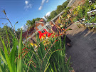 Cinnamon & Vanilla enjoying an afternoon in a garden center