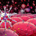 Our immune system works overtime to get rid of cancer cells