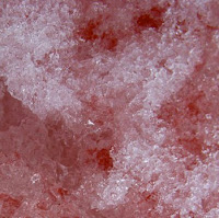 nieve roja causada por algas nieve roja