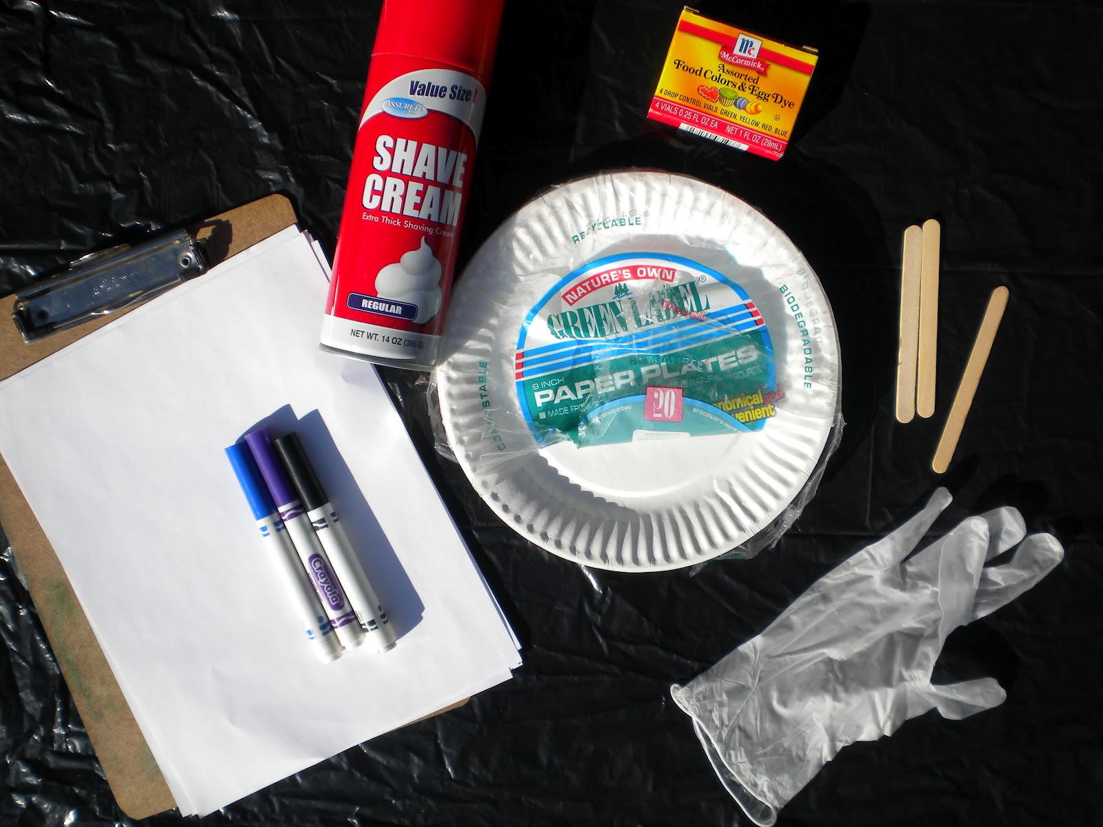 5 Minute Vacation 2013 Shaving Cream Food Coloring TieDying Easter