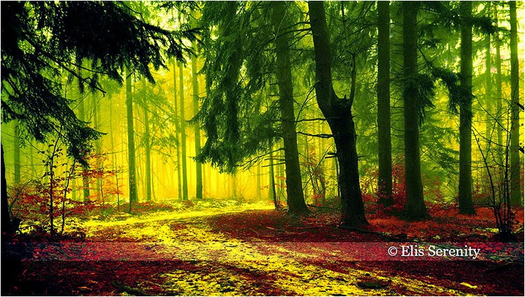 emerging photographers, Best Photo of the Day in Emphoka by Elis Serenity, https://flic.kr/p/rbiWMX emerging photographers, Best Photo of the Day in Emphoka by Elis Serenity, https://flic.kr/p/rbiWMX