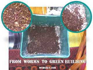 green building: from worm composting to sustainable housing, by wobuilt