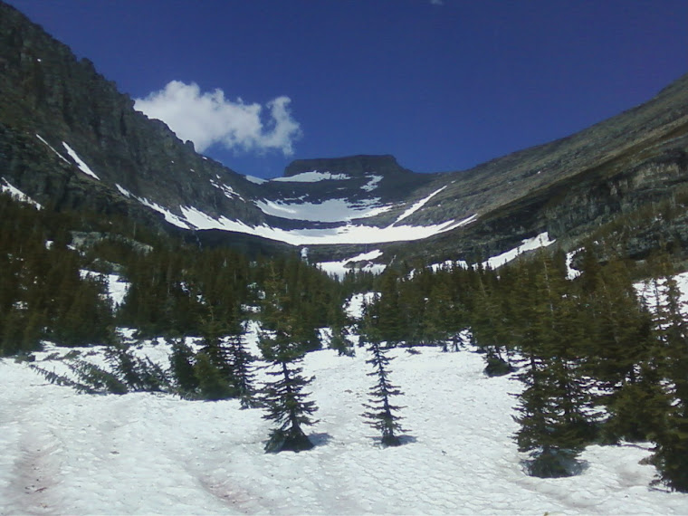 Glacier View