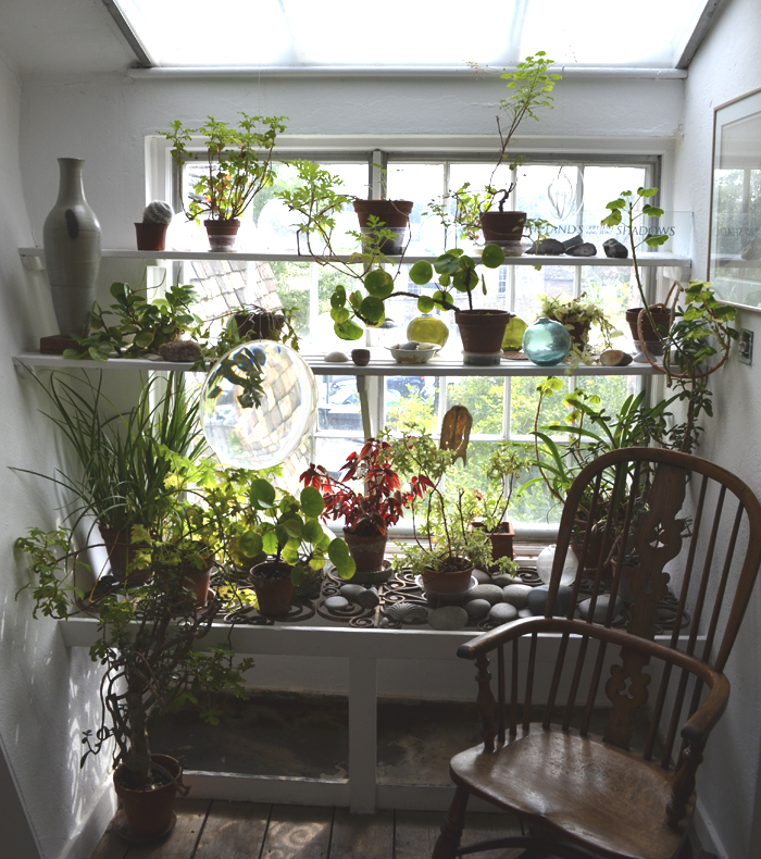 nice kind of blue kettles yard (the pictures I promised to share)