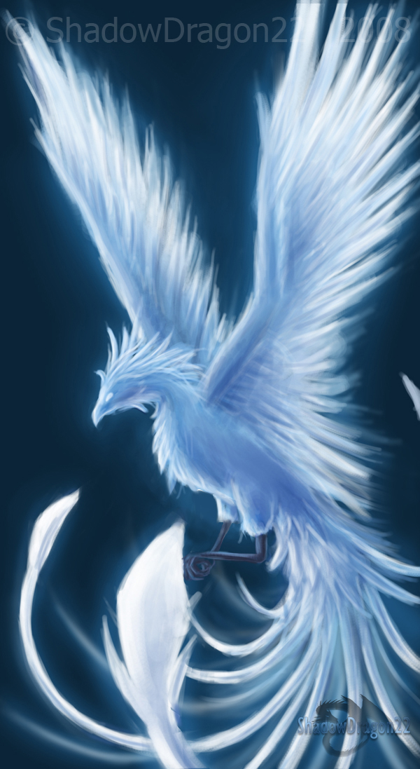 Winter_Phoenix___Contest_Entry_by_Shadow