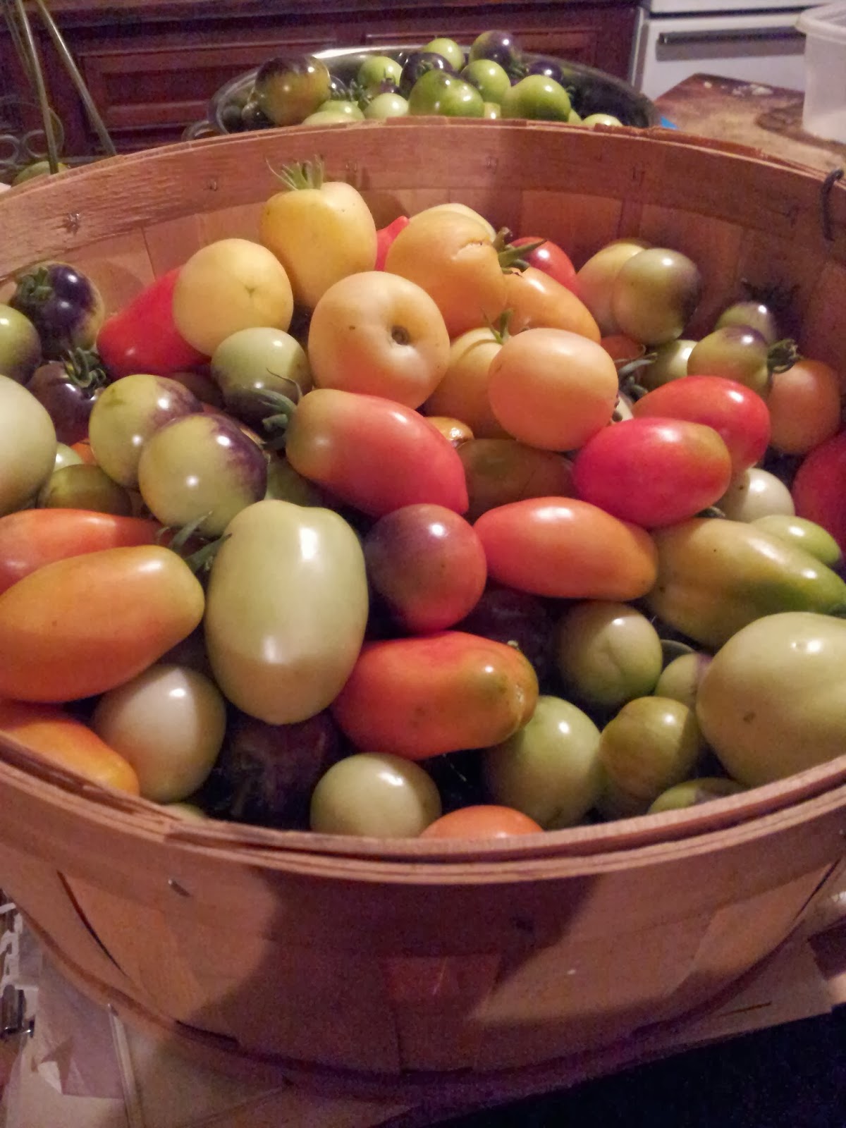 TSG Heirloom Honey Tomato Ketchup