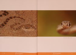 FOTO PUBLICADA EM LIVRO NO QATAR