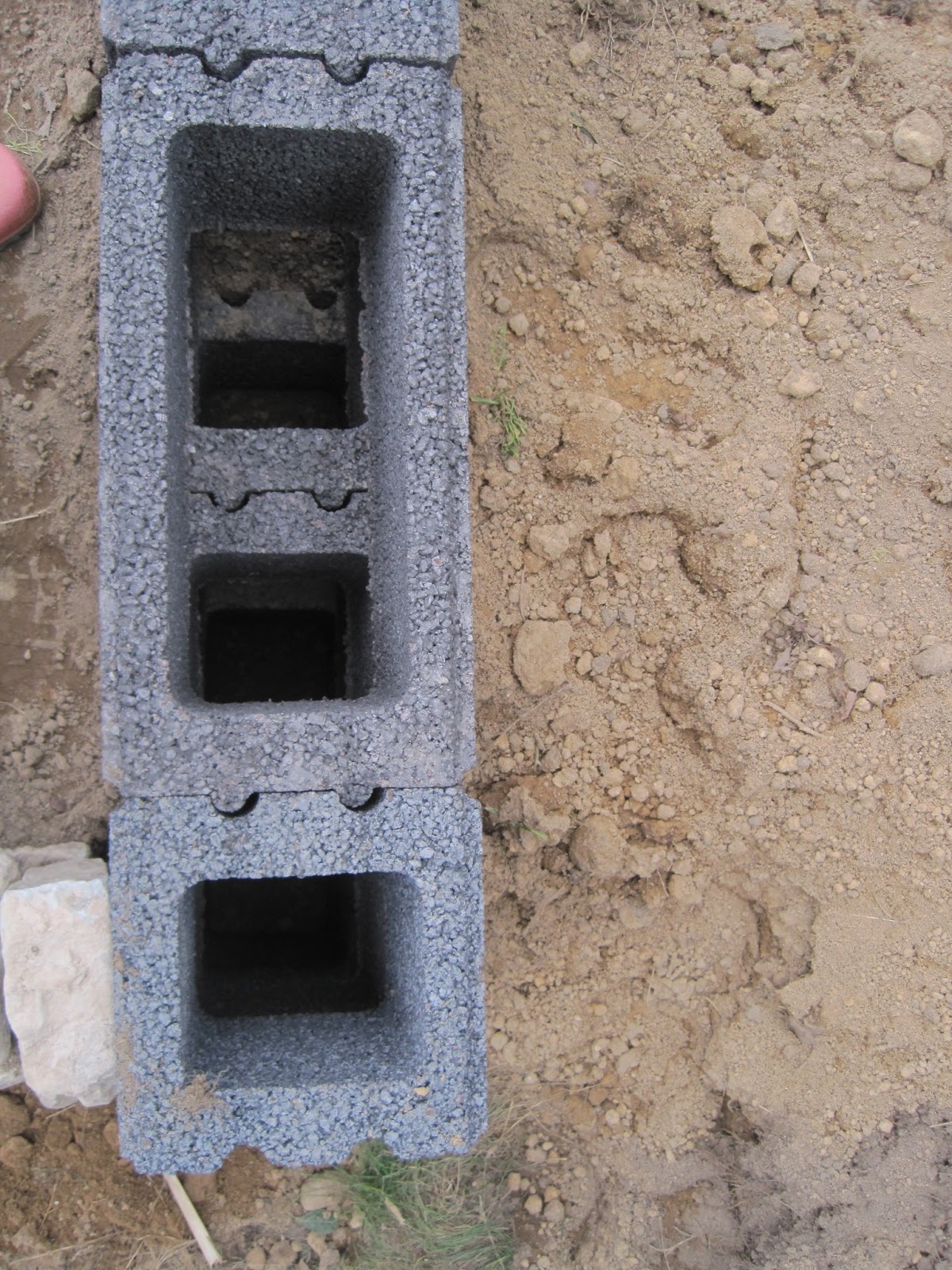 Wir Bauten Orange Medley200 Keller Wiga Gartengestaltung