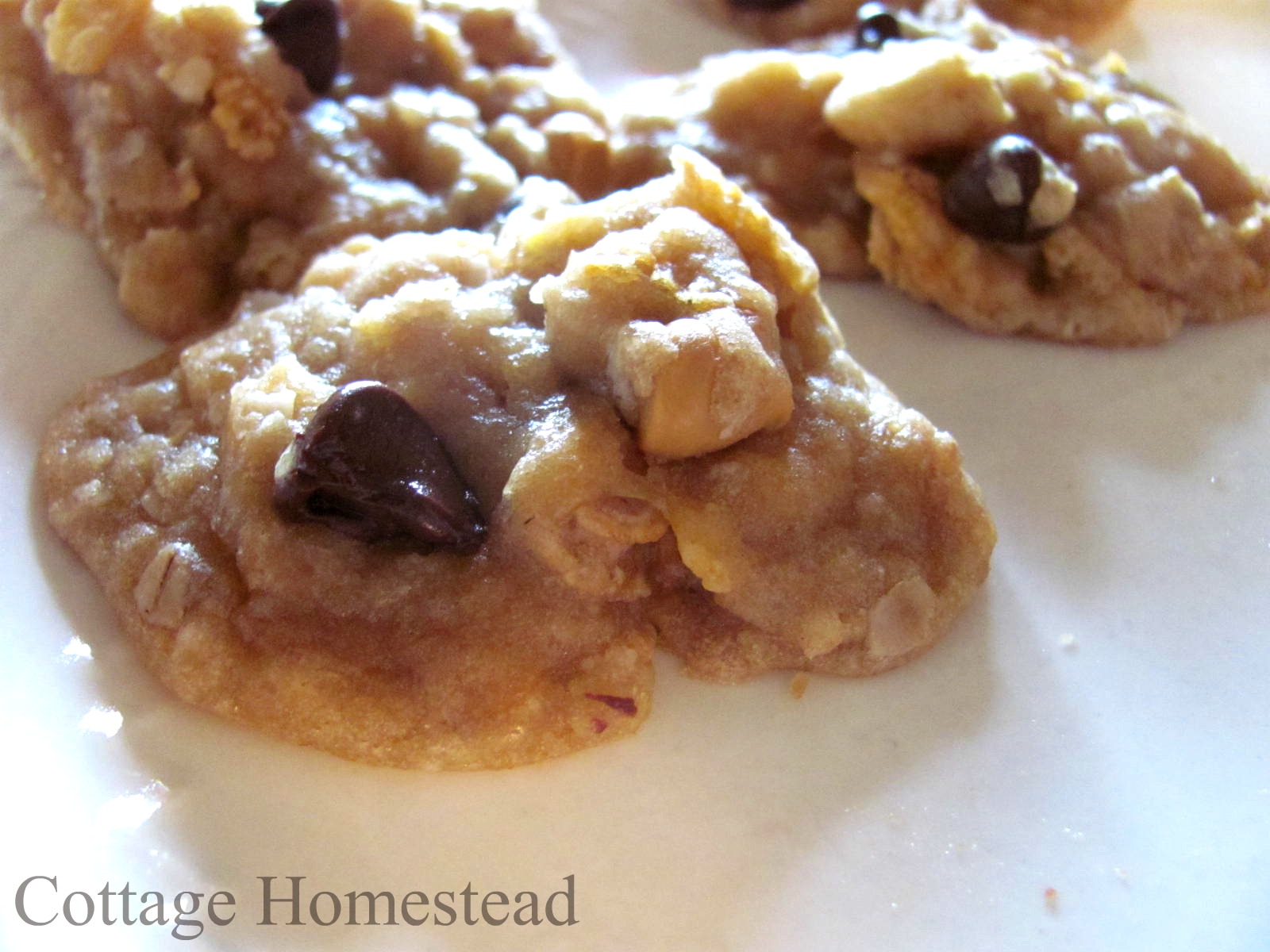 Cottage Homestead Dishpan Cookies