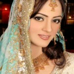 net lehenga choli net lehenga choli