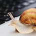 WHY MY COMPUTER IS SLOW AT BOOTING