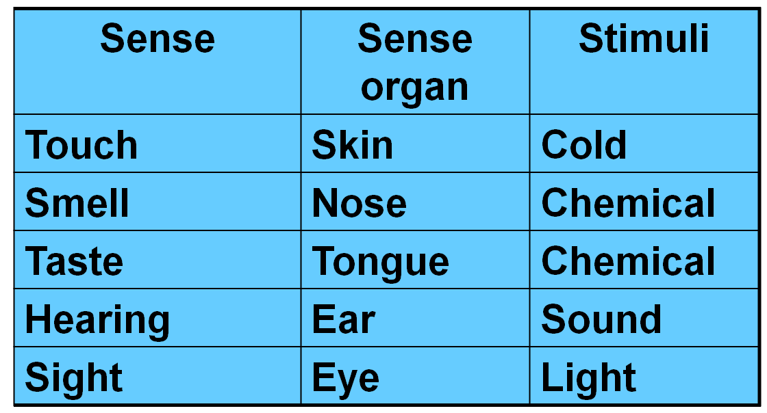 CHAPTER1WORLD THROUGH OUR SENSES MScienceBuzz