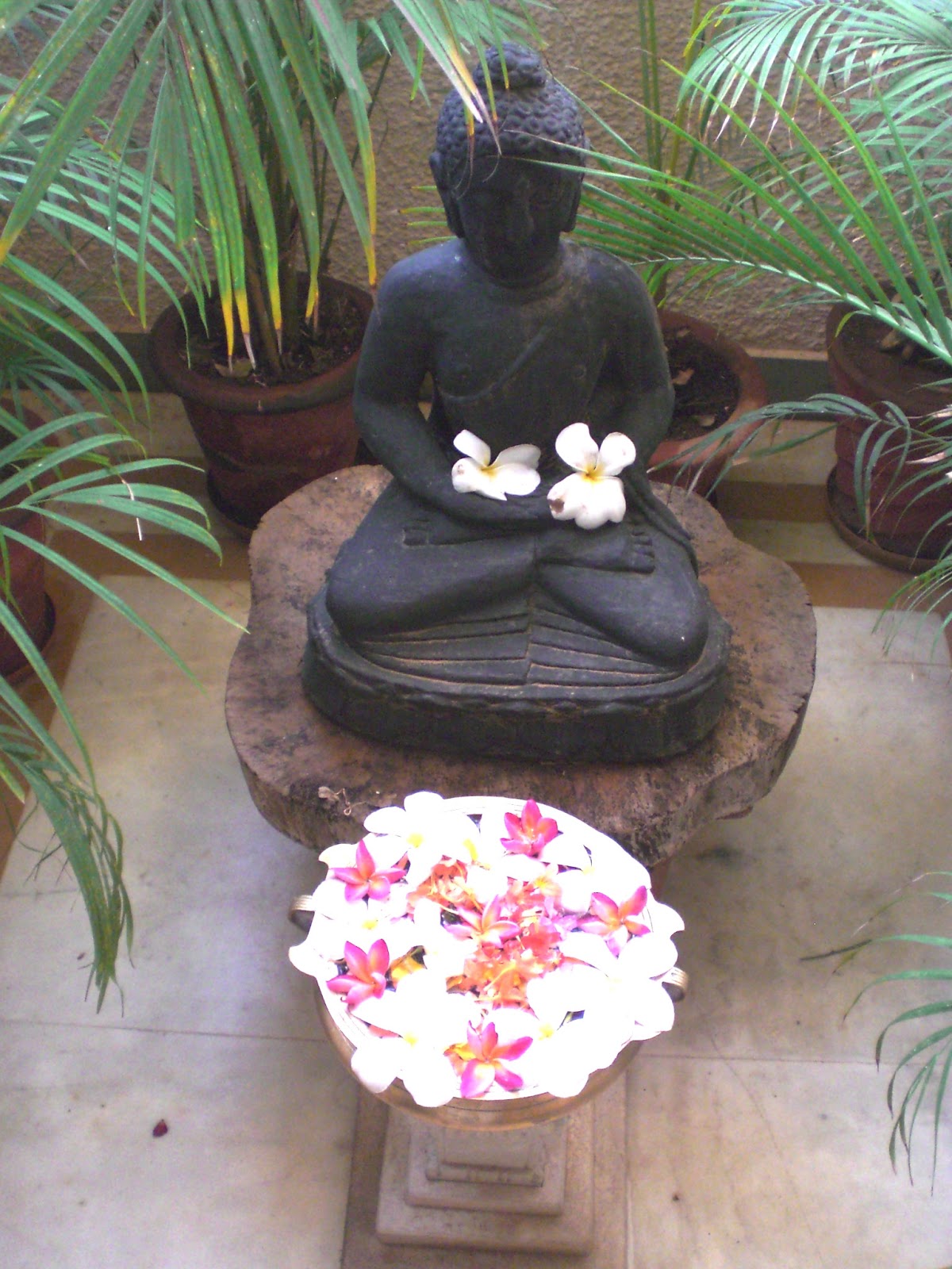 Seema and Rakesh buddha home Bangalore home tour