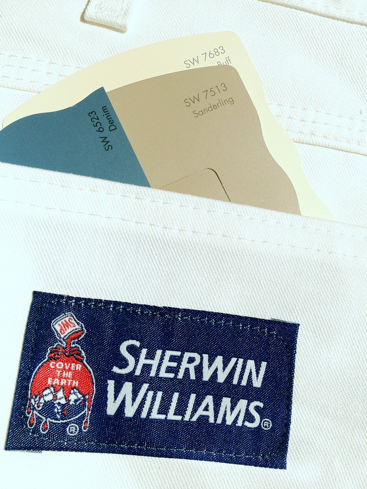 Language of Color and Texture Nascar Themed Bathroom