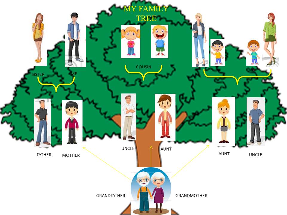 the english class ii 2 176 evaluacion the family tree arbol genealogico en ingles
