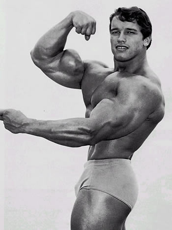 arnold schwarzenegger body now. arnold schwarzenegger body now