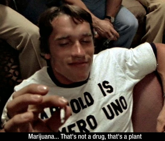 Arnold Schwarzenegger Movie Quotes Funny. QuotesGram