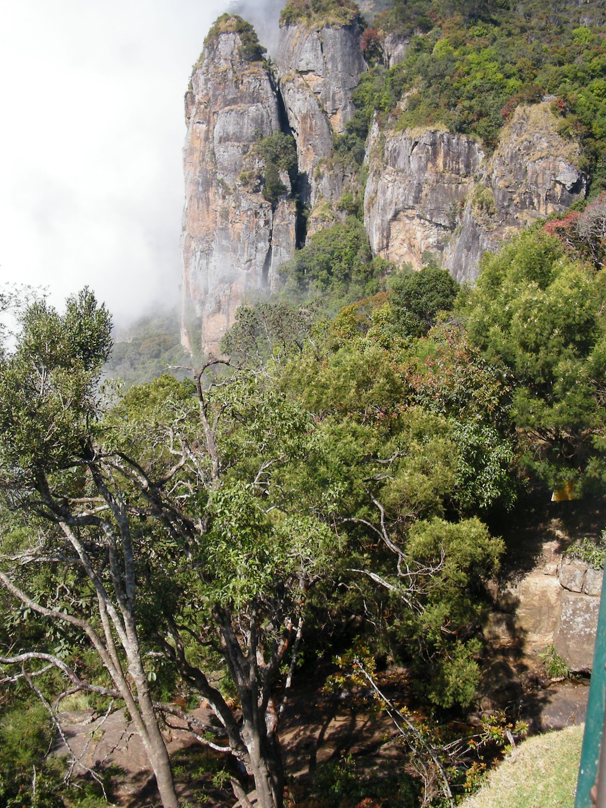 KODAIKANAL TRAVEL VIEWS PILLAR ROCK KODAIKANAL