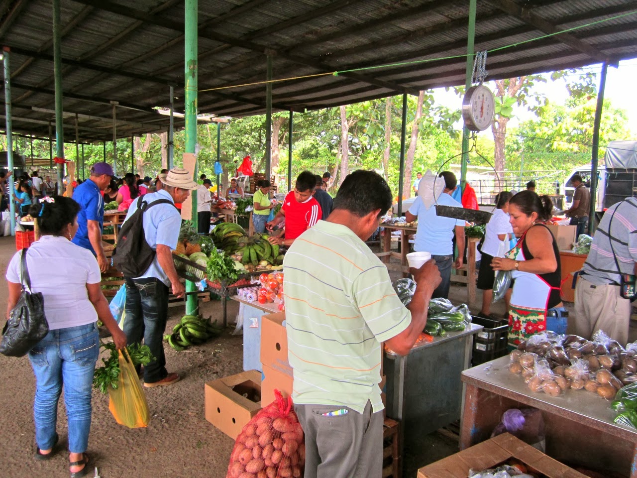 The Stay At Home Gringo--An Expat's Life In Panama: The Real Cost of