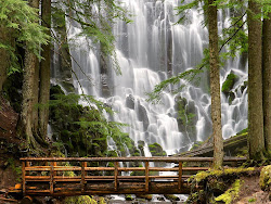 http://2.bp.blogspot.com/--TvEPPnwrbE/UM_6u1KtUeI/AAAAAAAANCA/Yuo5jX-OOZo/s250/Ramona_Falls__Mount_Hood_Wilderness__Oregon.jpg