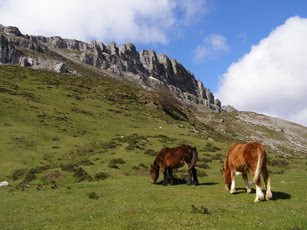 MONTES DE ALAVA