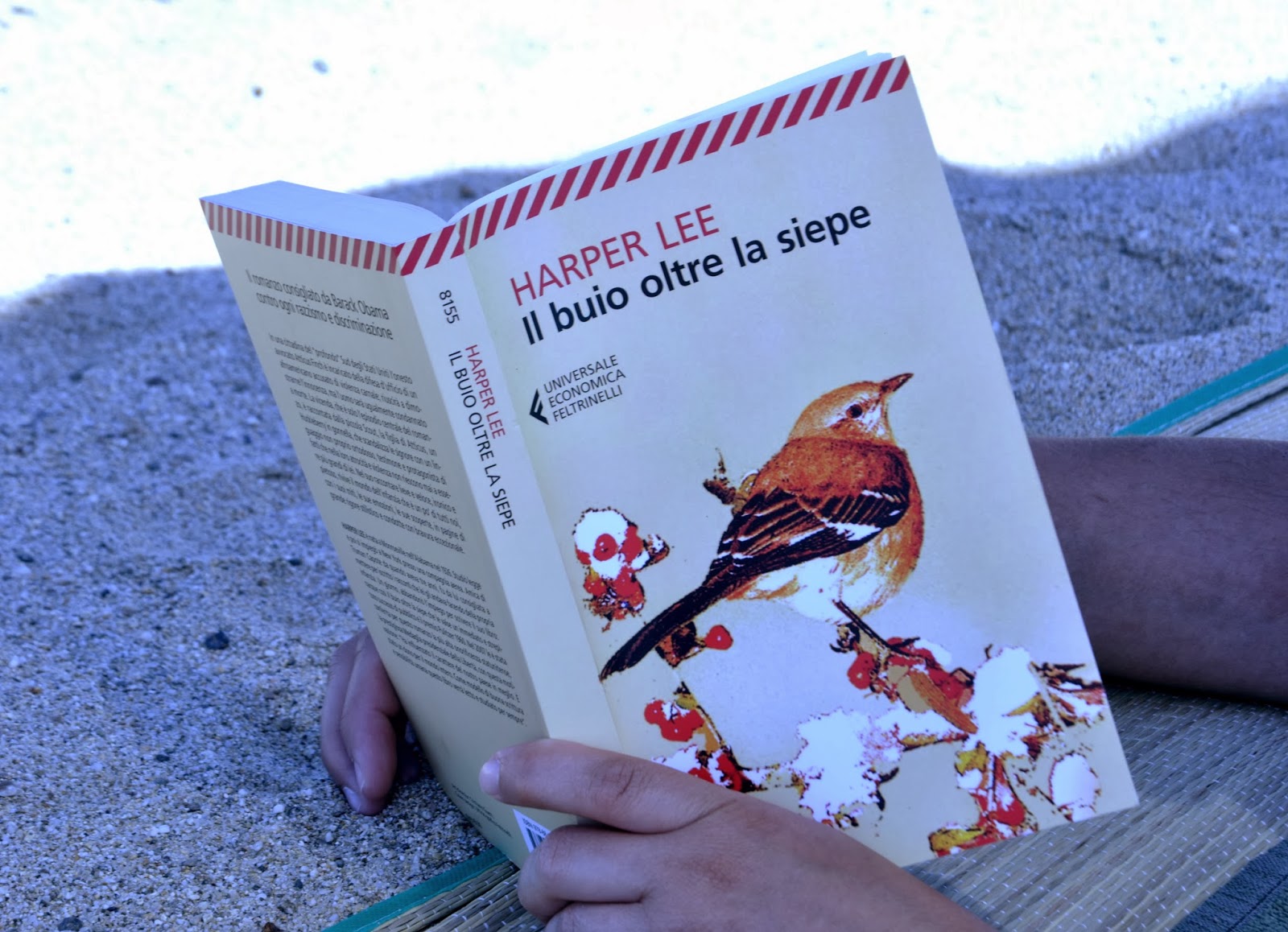 Scheda Libro Il Buio Oltre La Siepe Cultura A Vanvera: novembre 2013