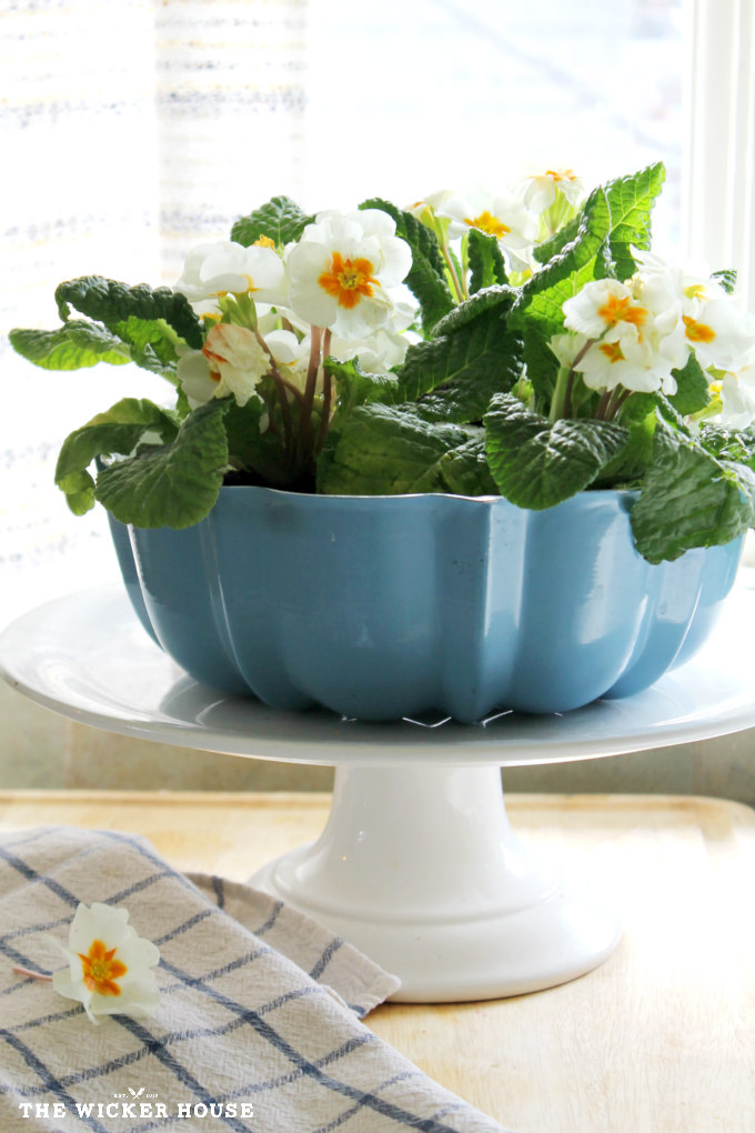 Bundt pan planter The Wicker House