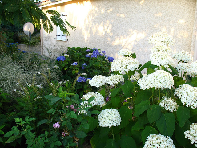 Roses Du Jardin Cheneland