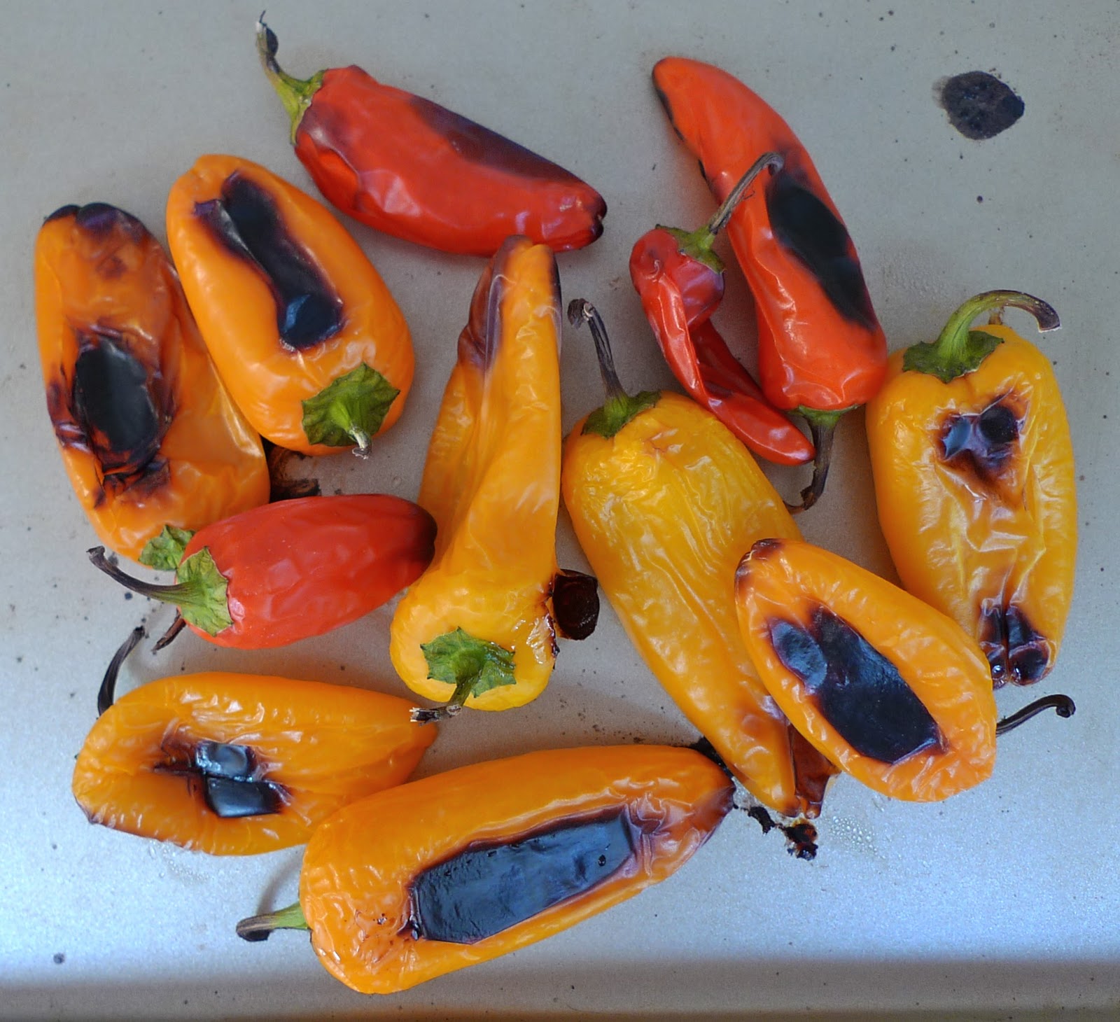 siriously delicious Baby Bell Peppers