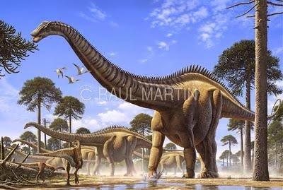 Seismosaurus hallorum