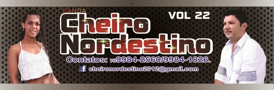 BANDA CHEIRO NORDESTINO VOL 22