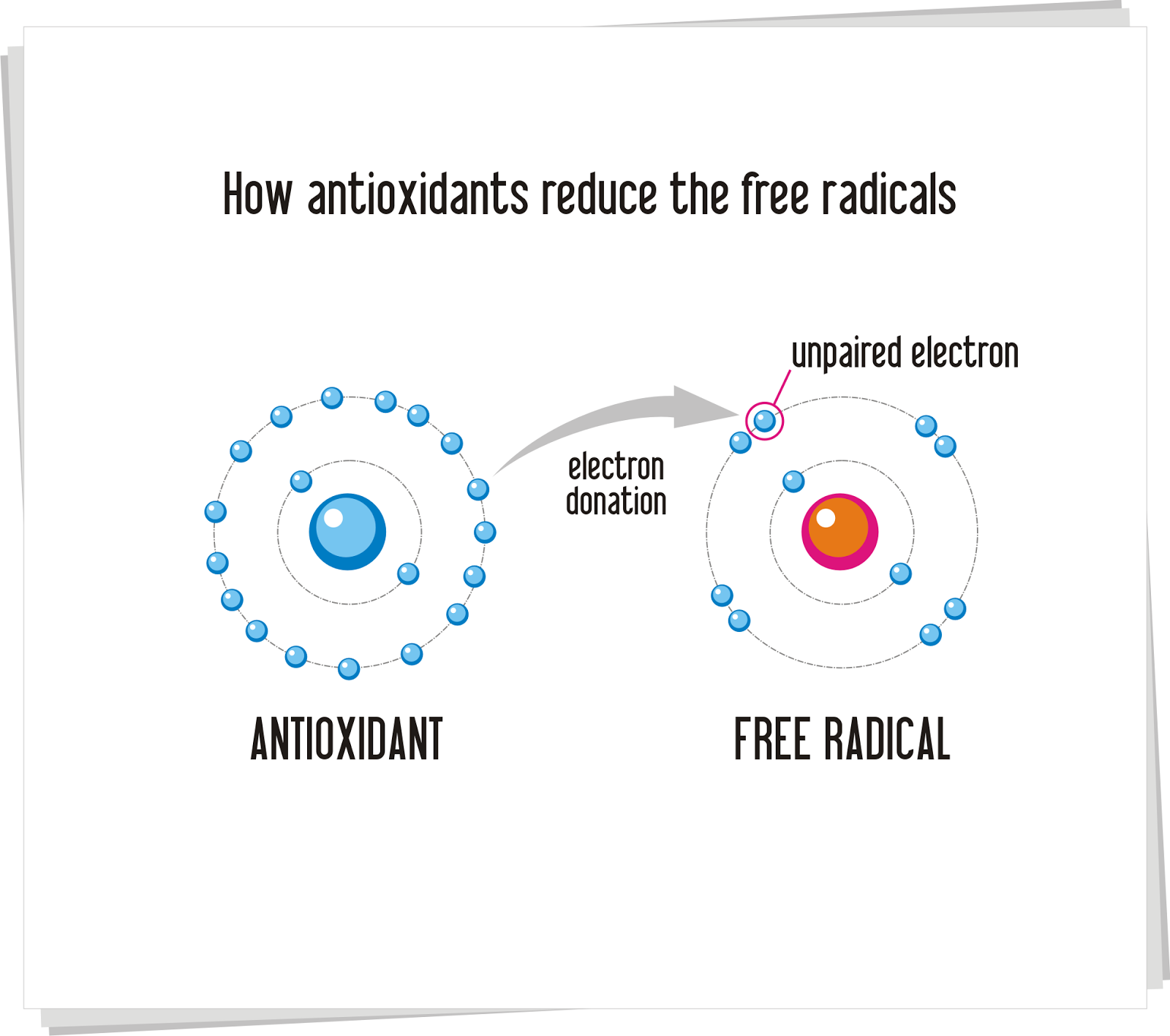 Getting your Antioxidants! The Healthy Answer Help
