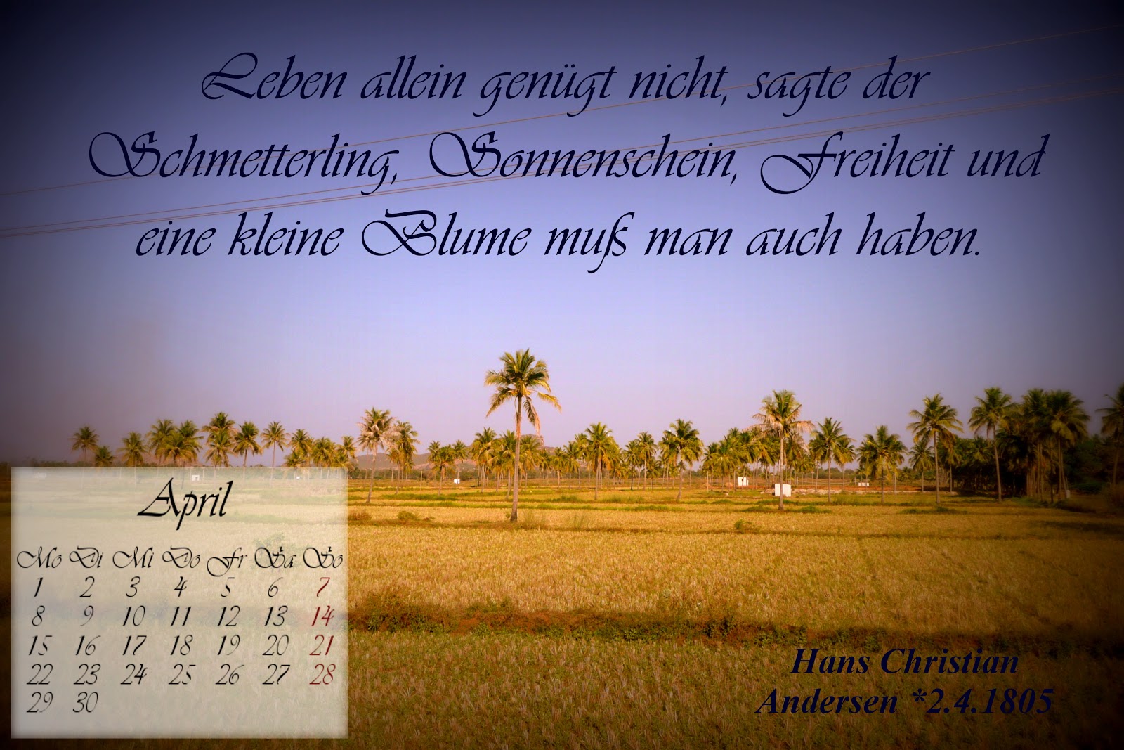 Rezension Liebe Eitel Sonnenschein