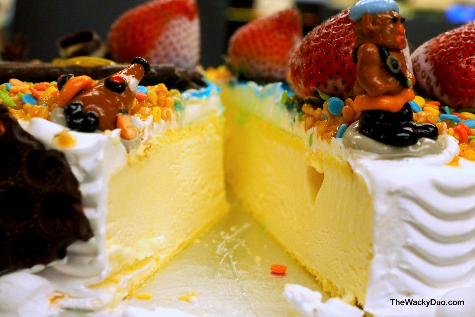 Swensen's Kidsbits Ice Cream Cakes for kids The Wacky Duo