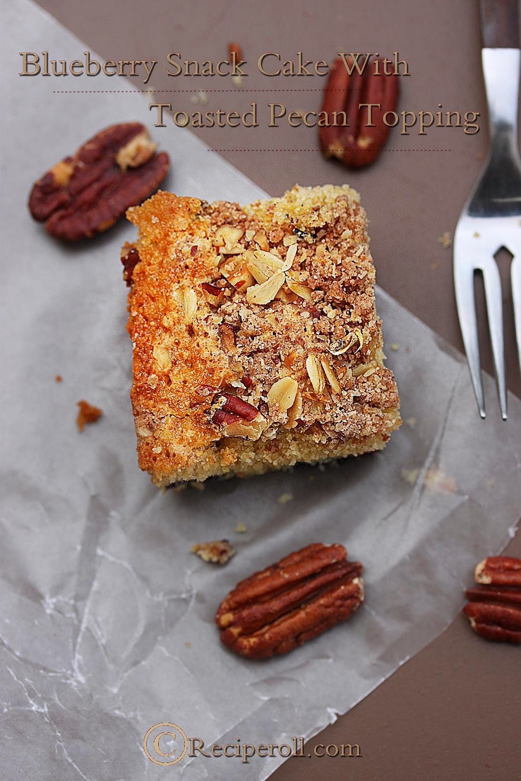 Blueberry Snack Cake With Toasted Pecan Topping Blueberry Squares