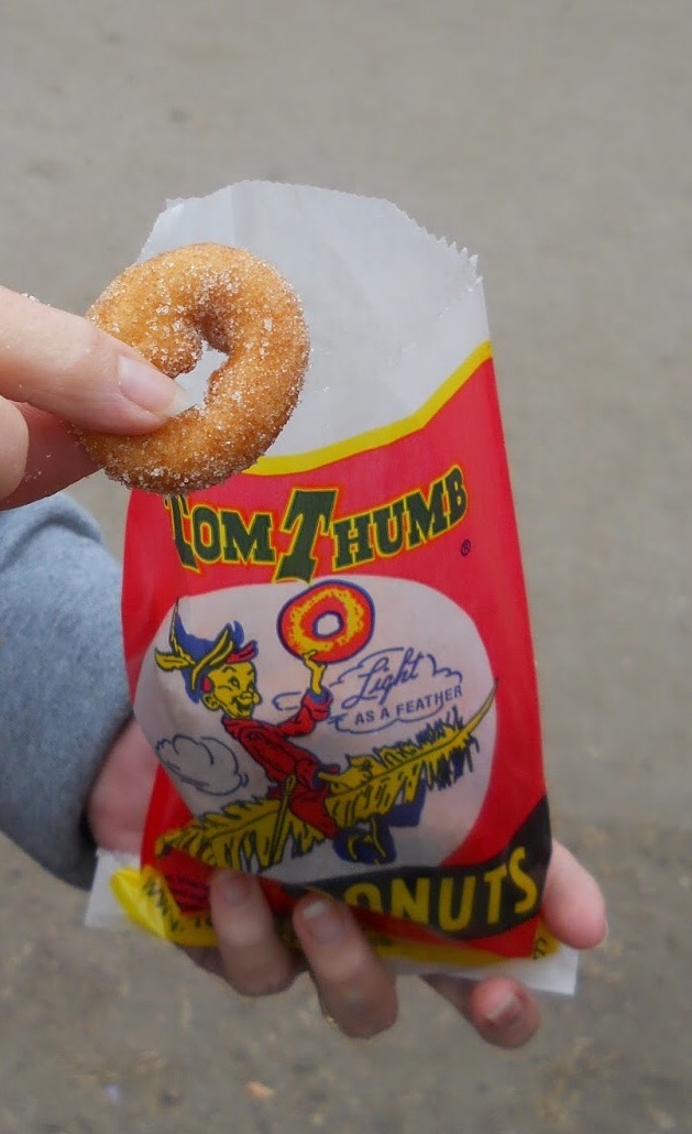 Living on Cloud Nine 9 REASONS TO GO TO A COUNTY FAIR