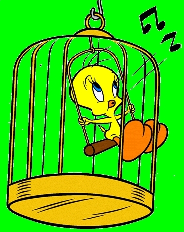 L'uccellino in gabbia