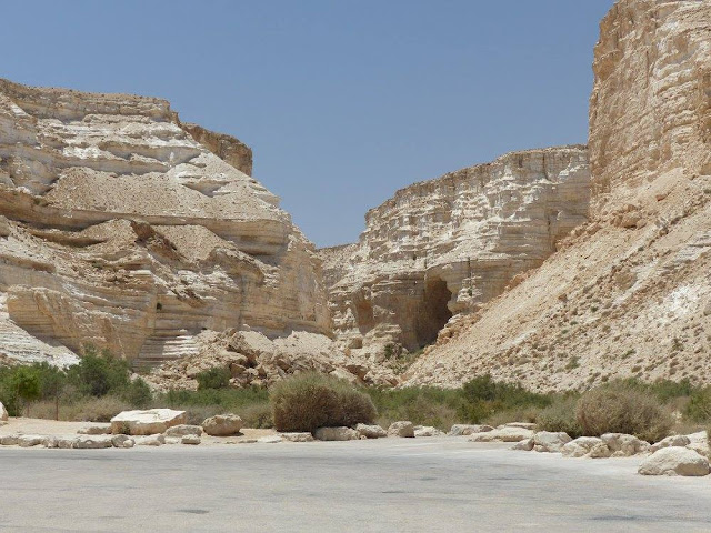 ein avdat negev, israel