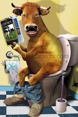 Top Funniest Pictures