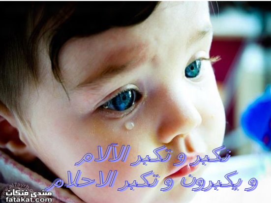 نظرية الوحدة الإسلامية نكبر و تكبر الآلام و يكبرون و تكبر الاحلام