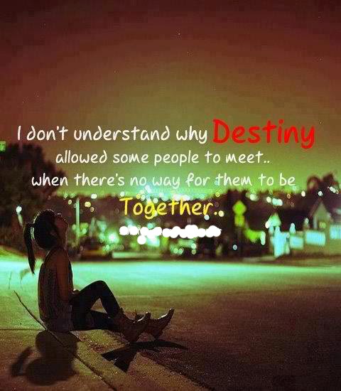 Confused love quotes ~ Funny Pictures