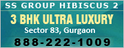 SS Group Hibiscus-2