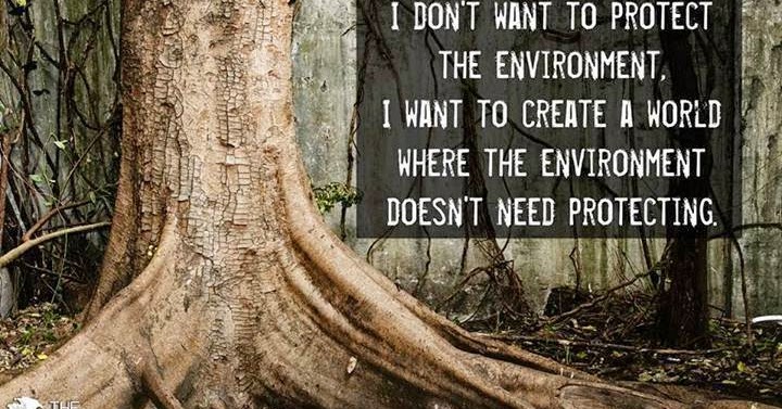 The Environment Makes the Person